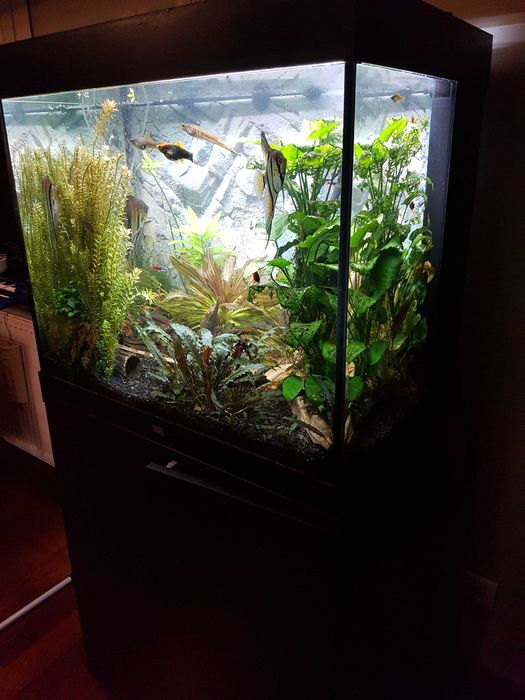 rezerwacja. Akwarium Juwel Lido 200 z szafką