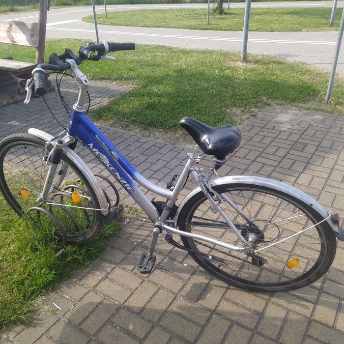 Rower damski typu Holenderka