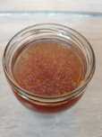 Grzybek Scoby kombucha starter