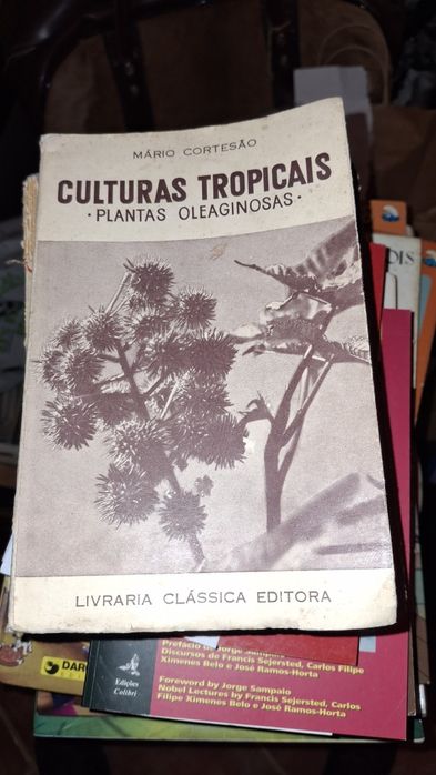 Culturas Tropicais Plantas Oleaginosas  Mário Cortesão