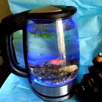Акваріум чайник з рибкою