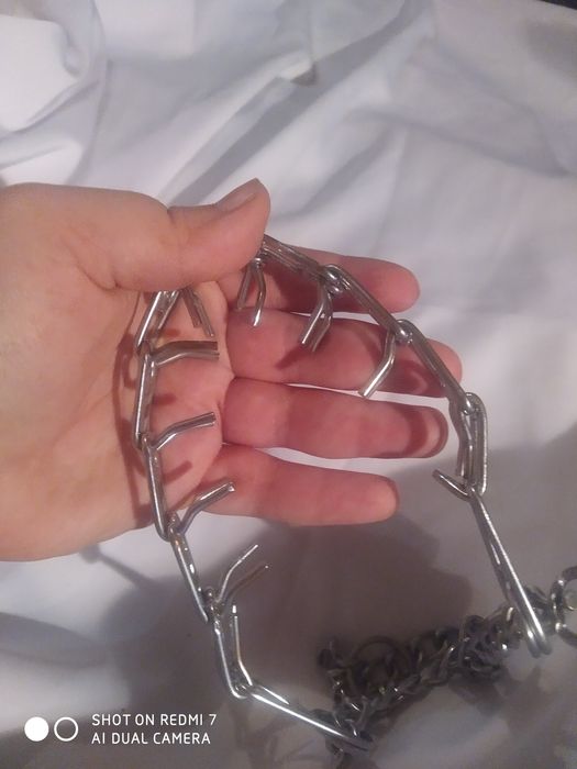 Строгий ошейник или парфорс для дрессировки собак на большую собаку