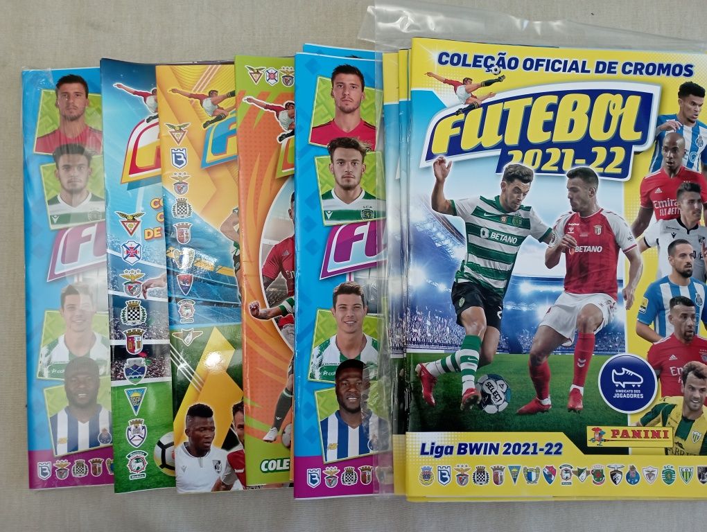 Cadernetas Panini Futebol