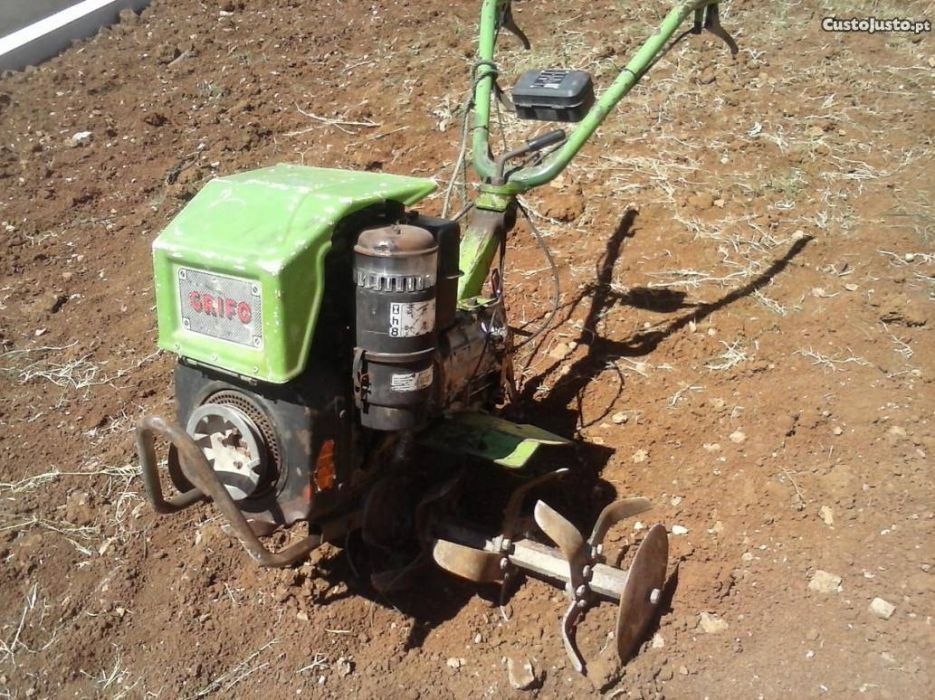 limpezas e manutenção de terrenos e árvores