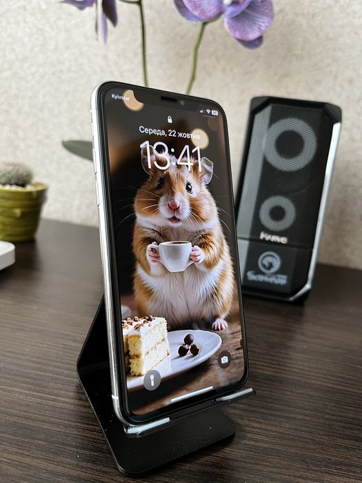iPhone X 64 гб. Silver