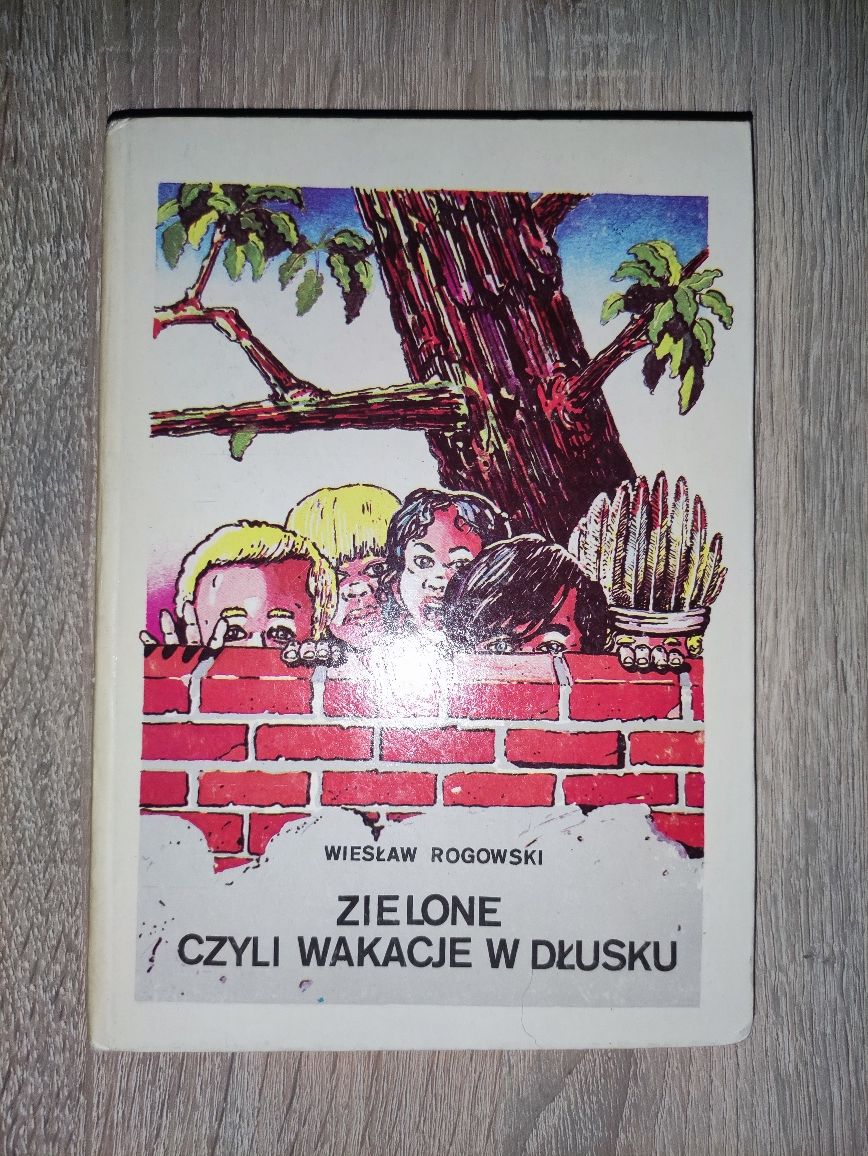 Książka Zielone czyli wakacje w Dłusku Rogowski
