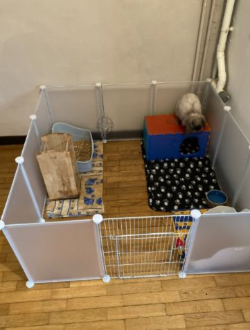 Kojec Wybieg dla Królika i Innych Zwierząt Biały Metalowy