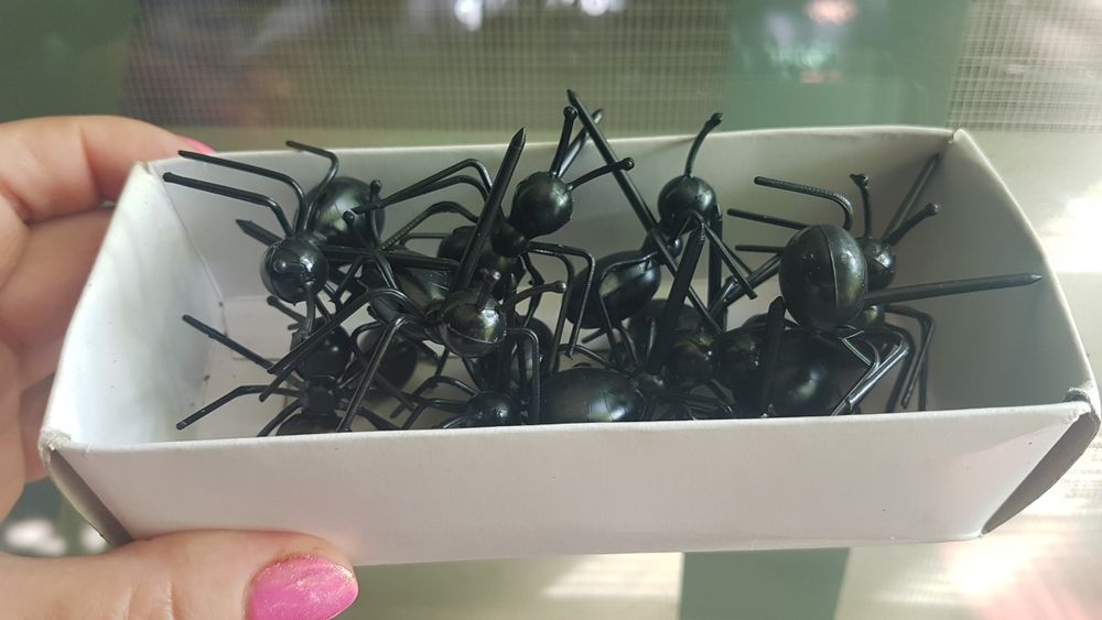 горшки для цветов и шикарный декор