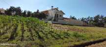 Terreno para venda em Aguada de Baixo.