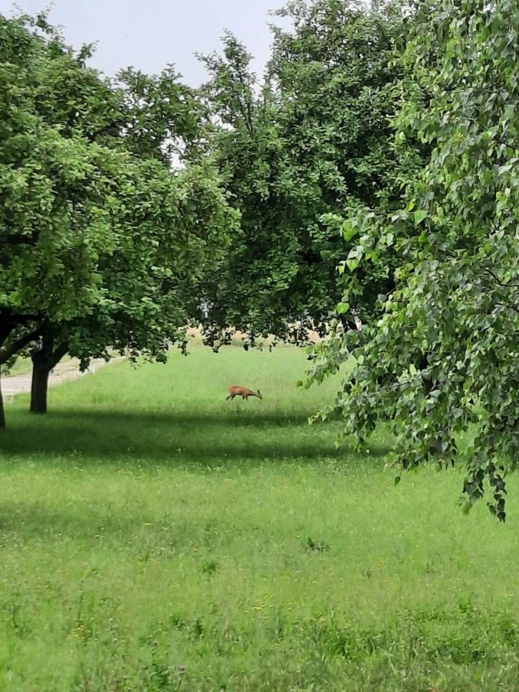 Atrakcyjne działki na sprzedaż