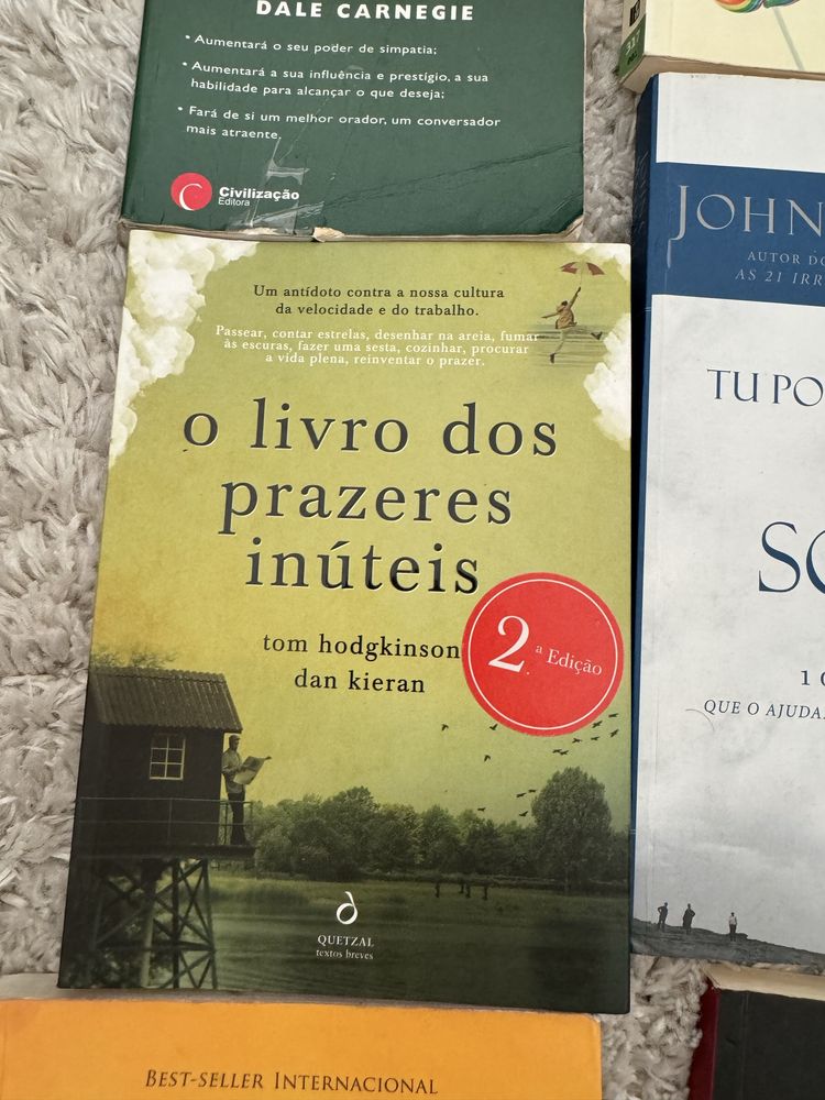 Lote livros ex: Como fazer amigos e influenciar pessoas