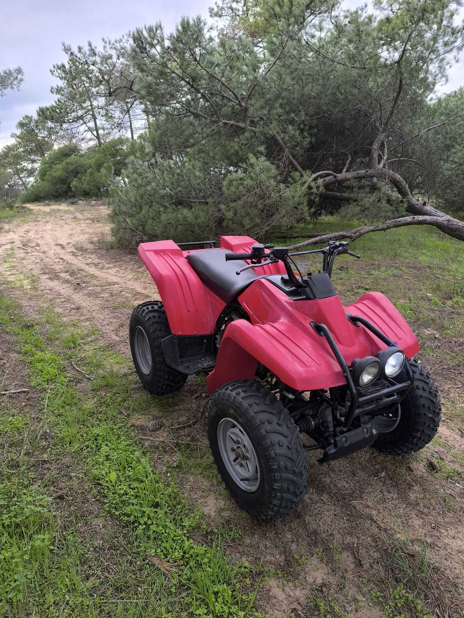yamaha wolverine 350 4x4