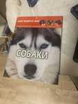 Книга для дітей та дорослих