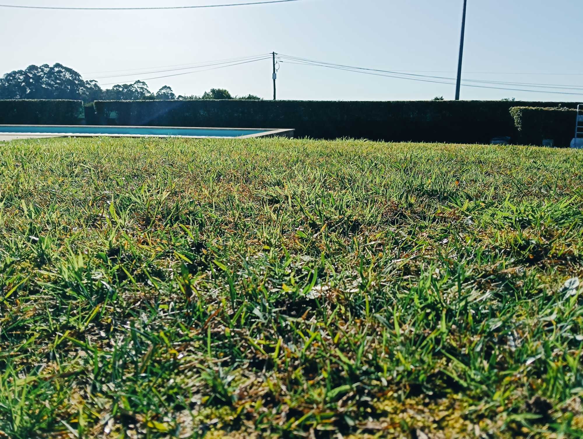 Serviços de jardinagem, construção e manutenção de jardins!