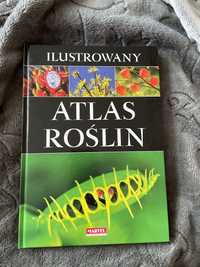 Ilustrowany atlas roslin