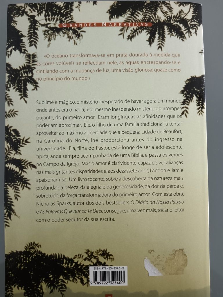 Um momento inesquecível	Nicholas Sparks - Novo!!