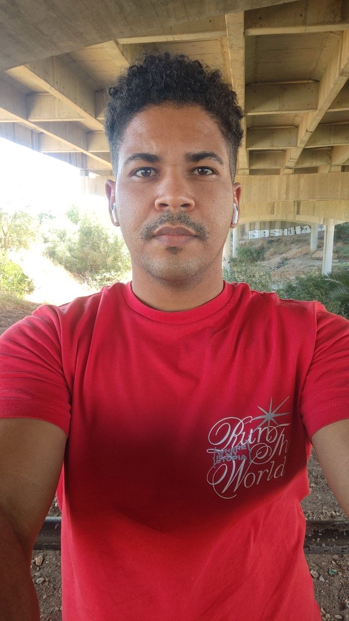 Ladrilhador profissional