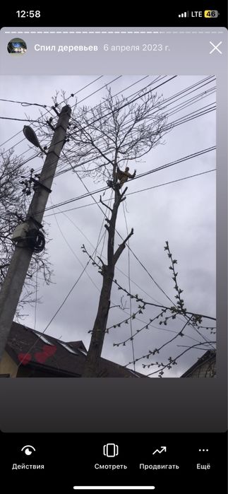 Очистка ЛЭП, Спил аварийных деревьев Днепр