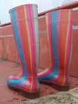 Galochas (botas borracha) coloridas