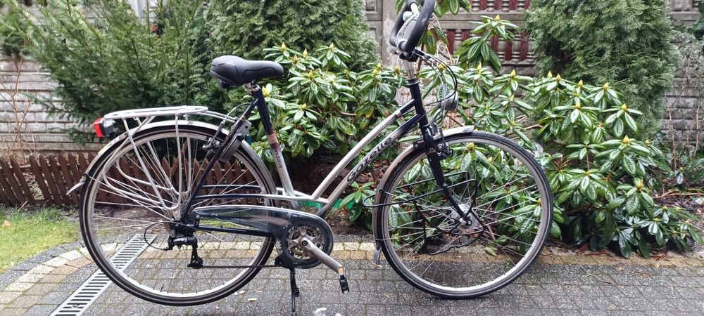 Rower Gazelle Batavus Sparta inne