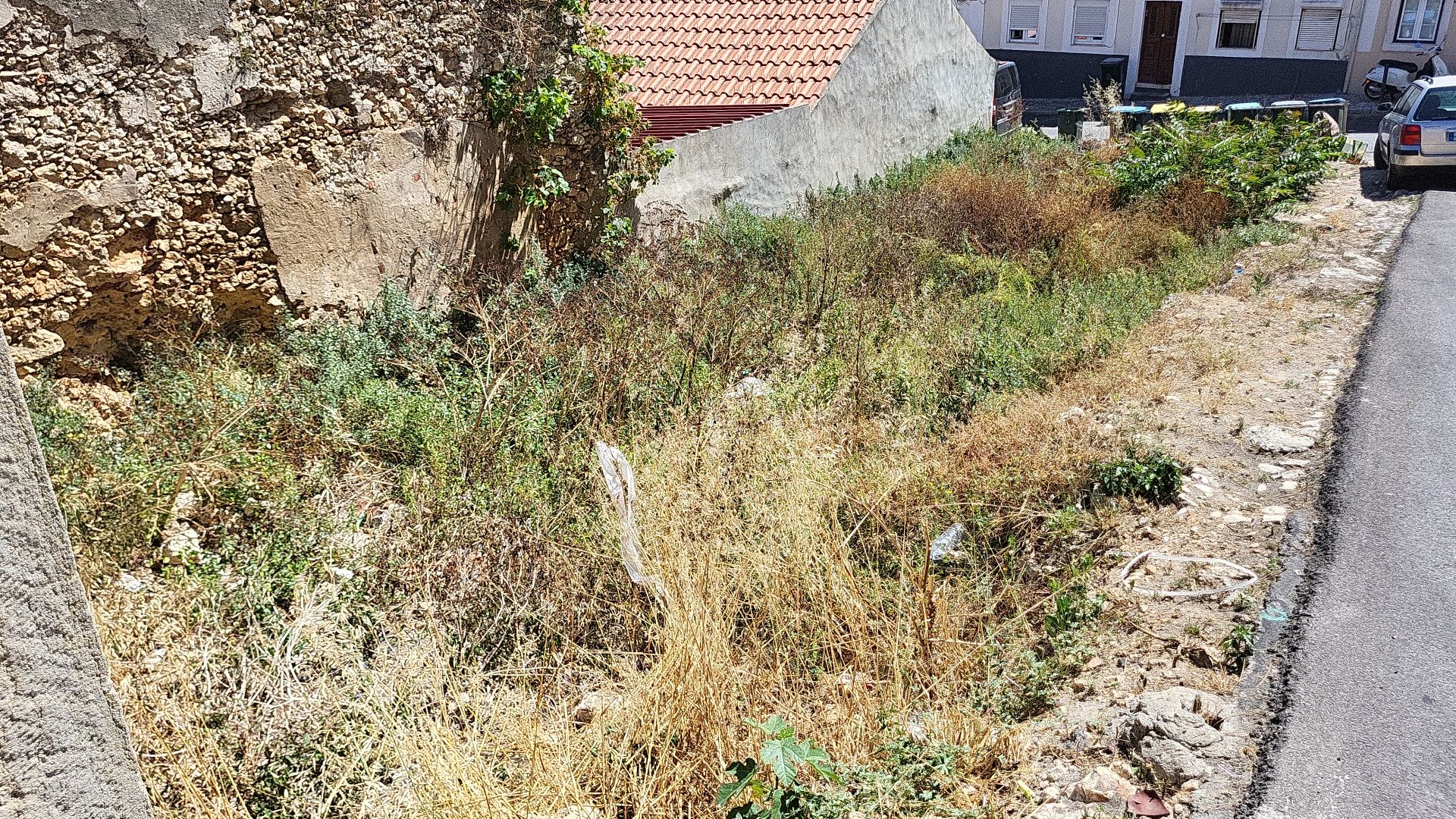 Limpeza de terrenos, jardins e quintal