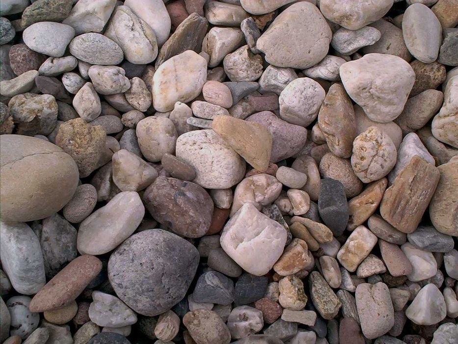 ziemia przesiewana,humus,ogród,pod trawę ,rośliny ozdobne,żwir tłucze