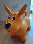 Cão  saltitão Ludi