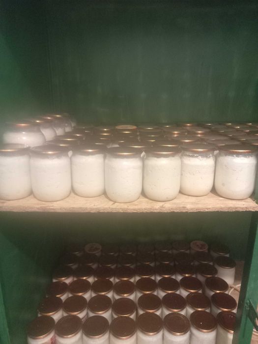 Закарпатська Бринза