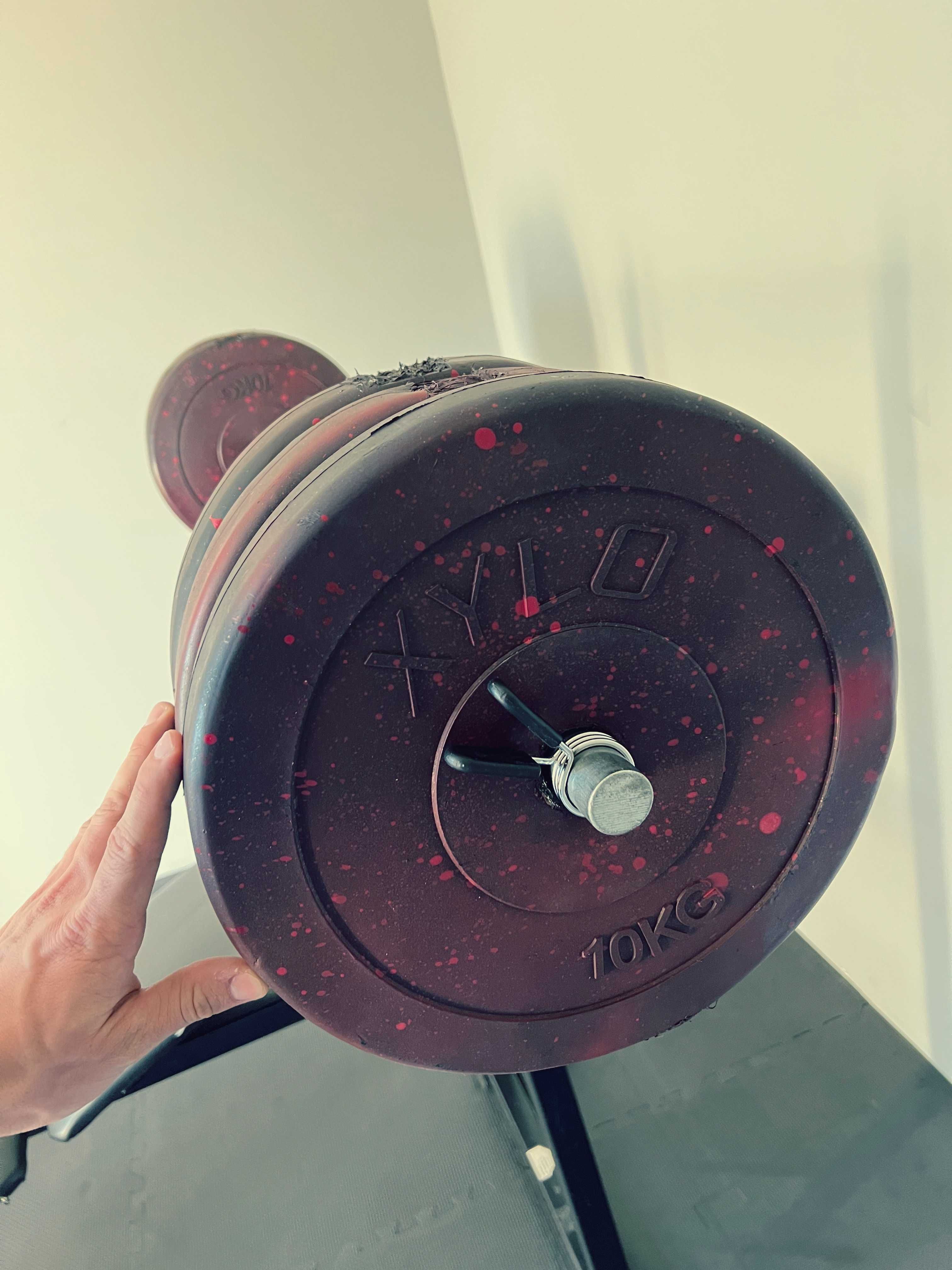 Sprzedam domową siłownię – pełny zestaw! (ok 100kg samego obciążenia)