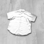 Льон Сорочка короткий рукав лльняна Polo Ralph Lauren linen shirt