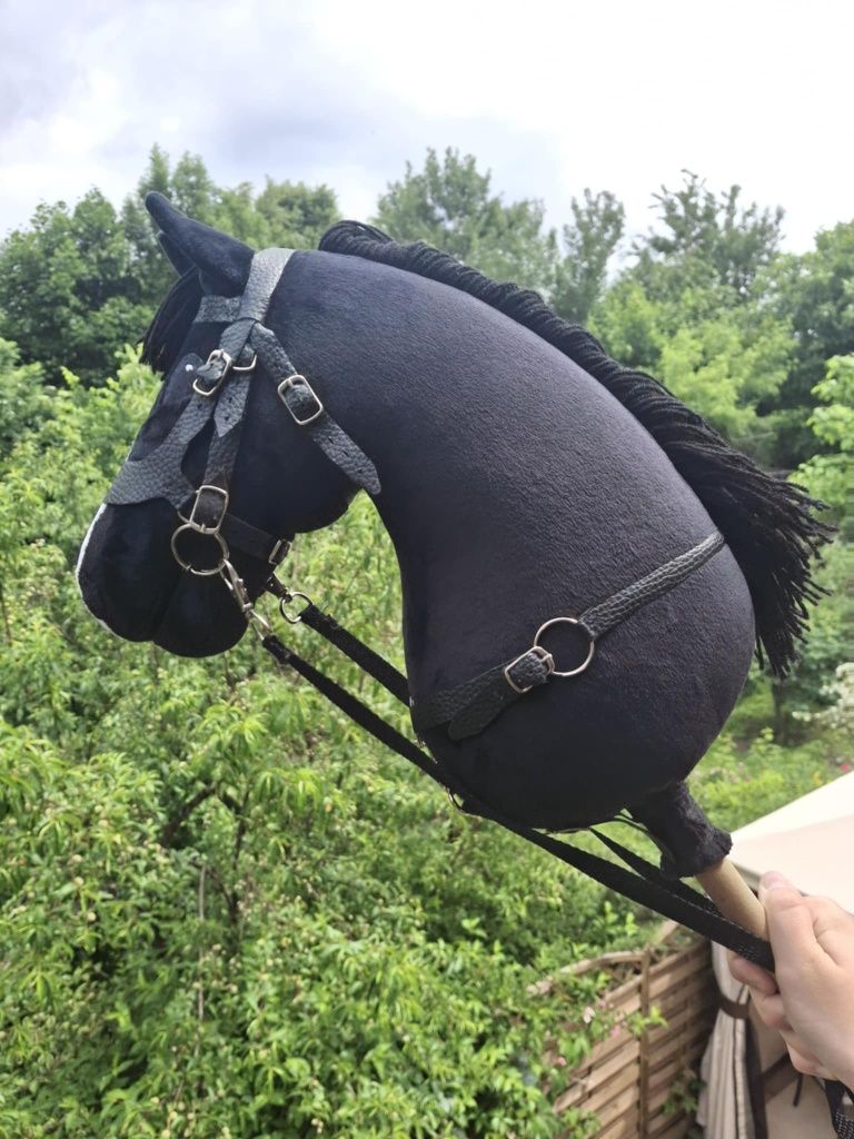 Hobby Horse, Kary, konik na kiju, lekki, A4, do skoków.