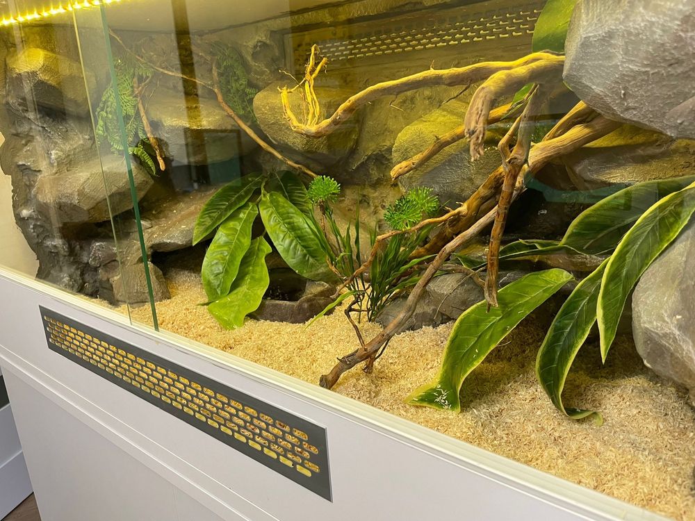 Terrarium dla węża 100x50x50