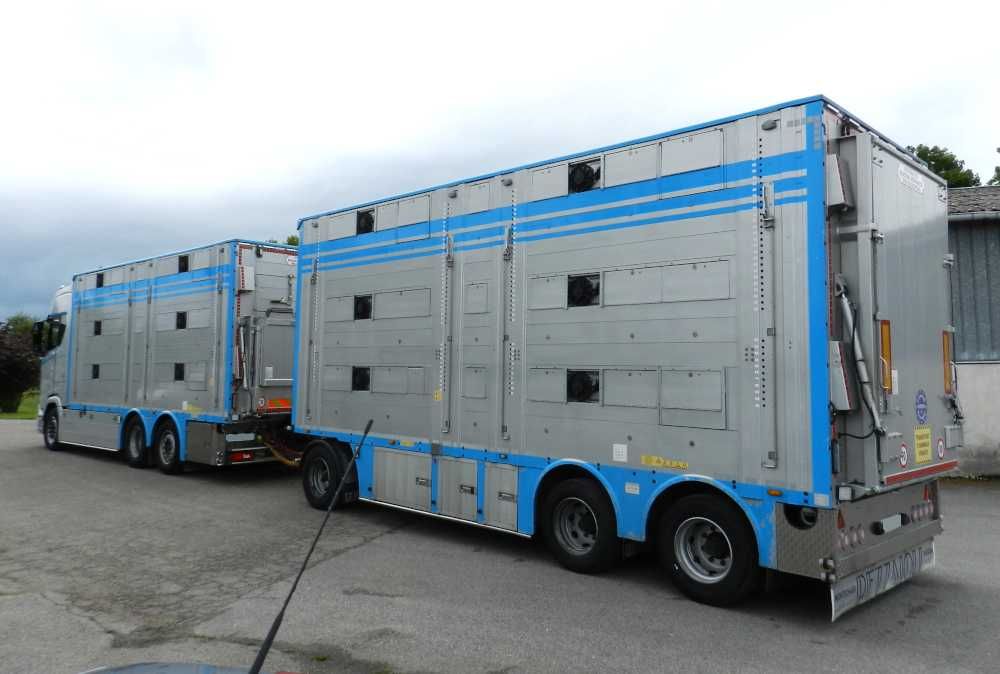 Do Zwierzat Zestaw SCANIA S660 zab i przy PEZZAIOLI 11/2021