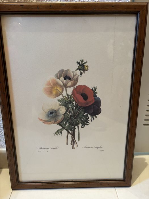 Varios quadros de diferentes estilos