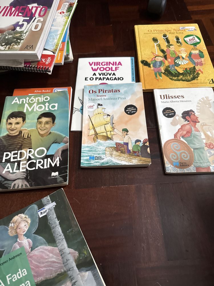 Manuais e livros de leitura do 6 ano