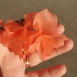 Brincos lindos, design flores