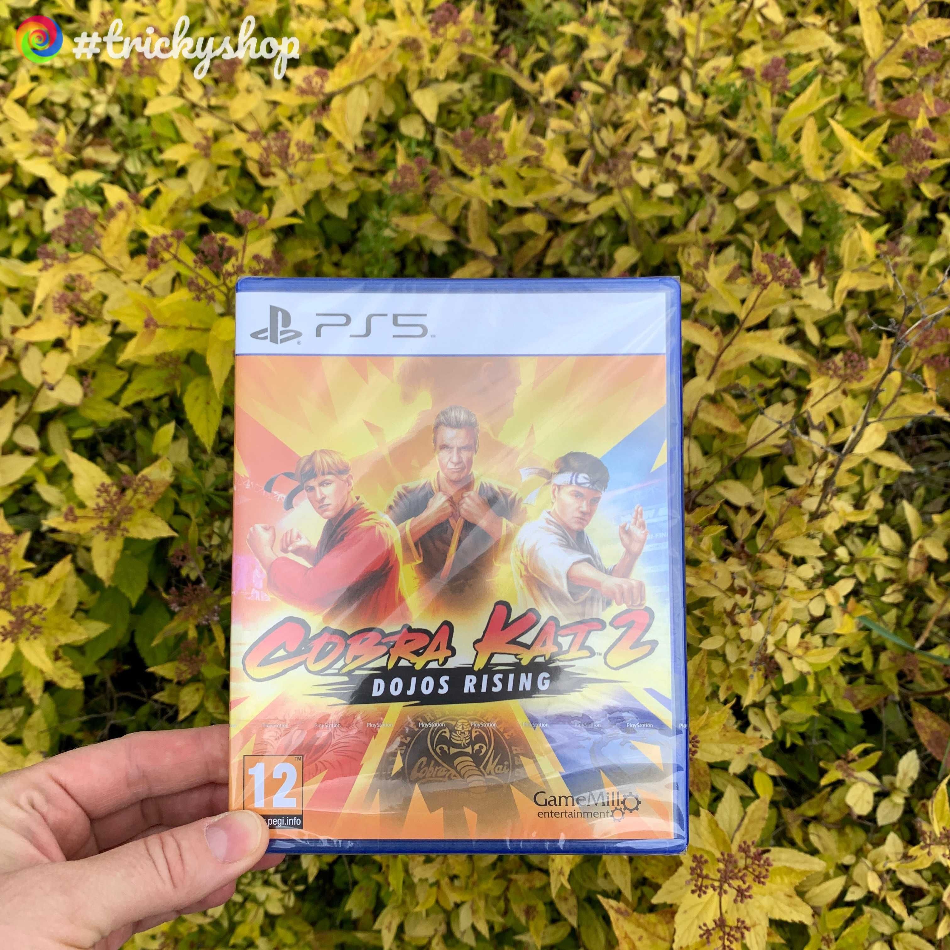 PS5 Cobra Kai 2: Dojos Rising (New) EN