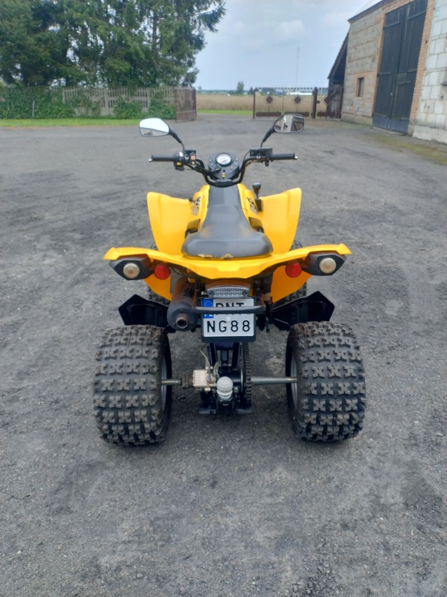 Quad Can AM ds 250