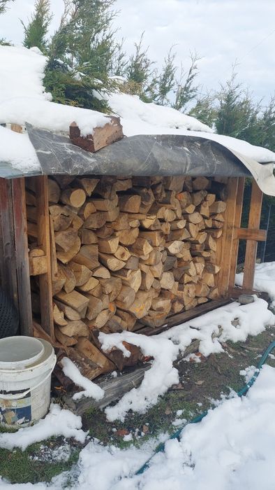 Drewno opałowe buk i olcha 1,5 metra3