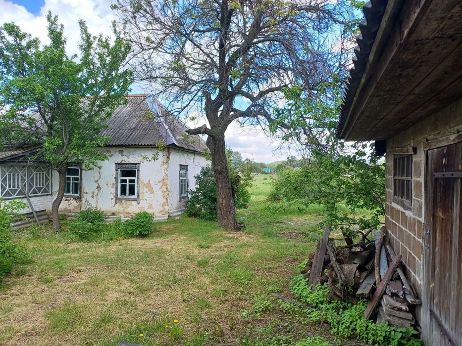 Продаж старого будинку на земельній ділянці 0,25 сот біля лісу