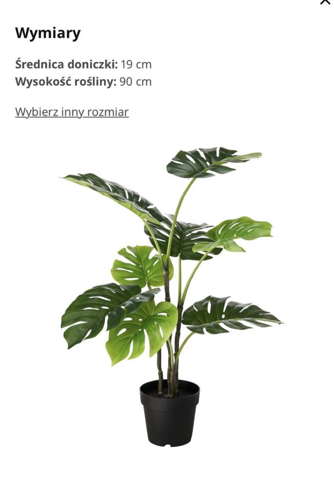 FEJKA Sztuczna roślina,  Monstera ikea