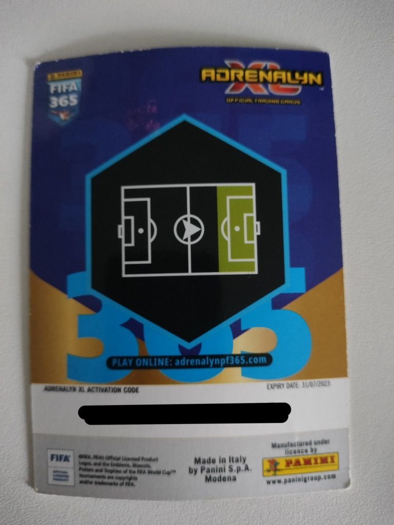 Momentum Erling Halland X-RARE 2023