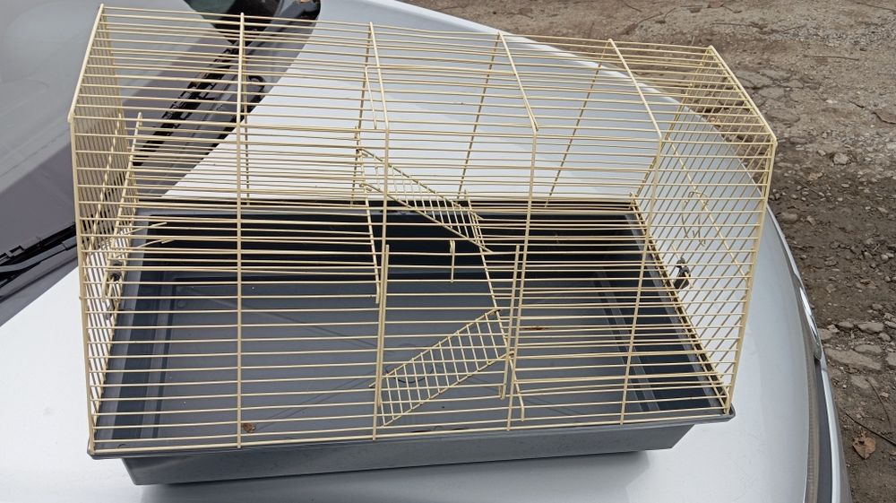 Клетка для крысы