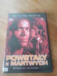 Powstały z martwych DVD