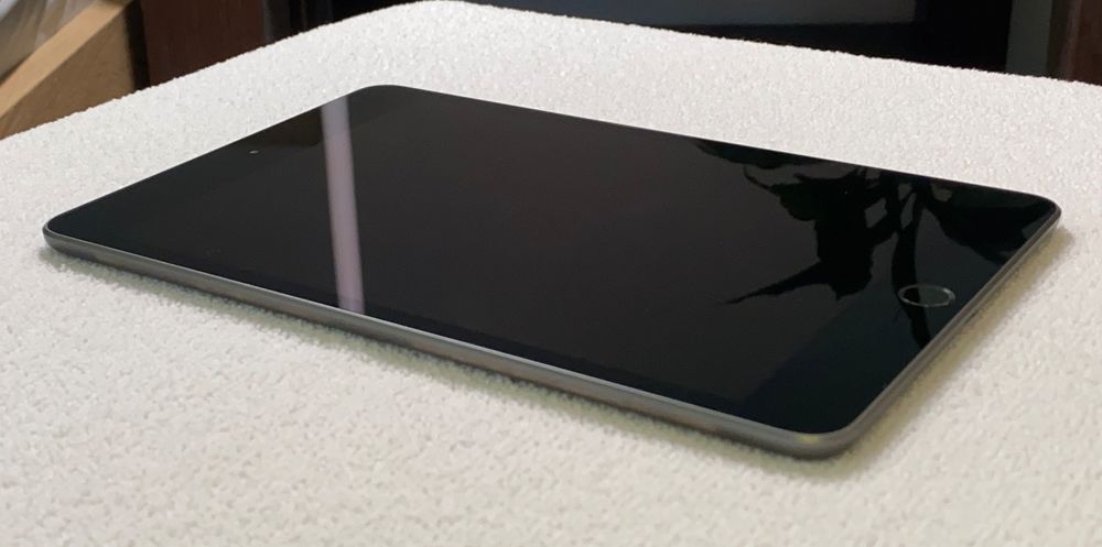 iPad Mini 5 w kolorze Space Gray - pamięć 256 GB, moduł Wi-Fi