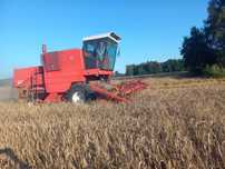 Kombajn zbożowy Bizon Z 056