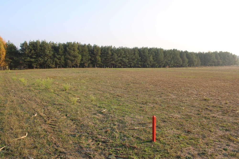 Działki budowlane