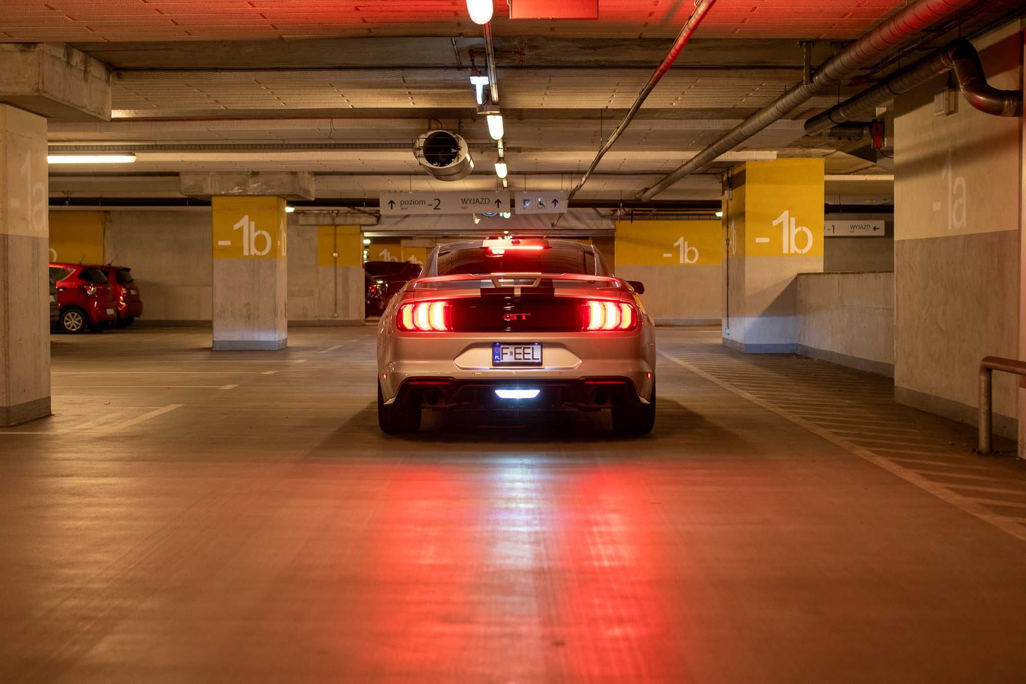 Ford Mustang GT V8 Performance Power – wynajem / wypożyczenie [FeelV8]