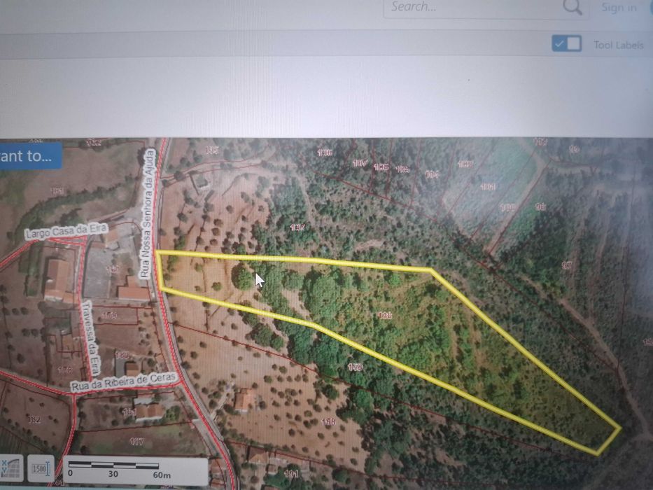 Quinta urbana (520m2) e rustica (26970m2) em Ceras / Tomar