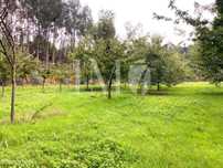 Terreno Rústico aprovado p/ Construção de Moradia - Rebordões Souto
